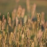 Hermes Pre Loved Silver Stainless Steel H Hour Pm Review 150x150