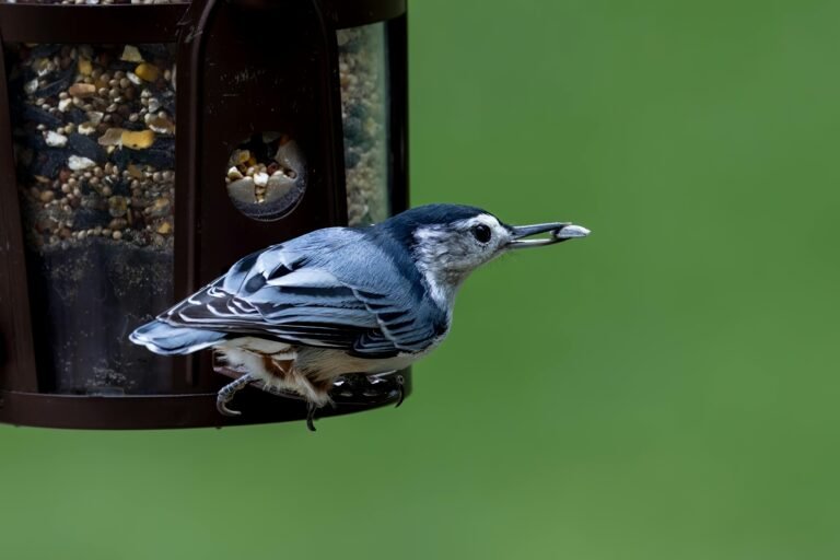 Football Cheer Coach Pink Ribbon Tote Bag Review