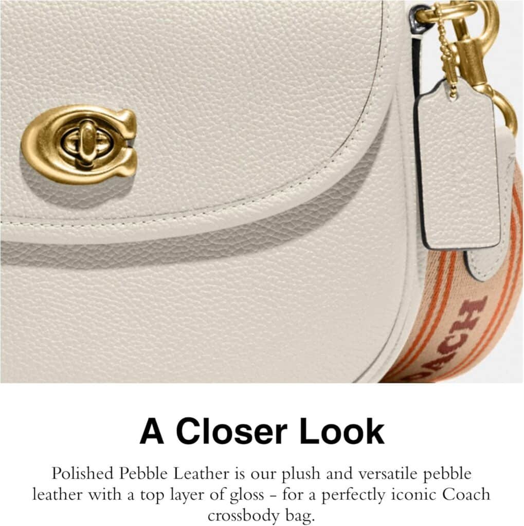 Coach Willow Saddle Bag