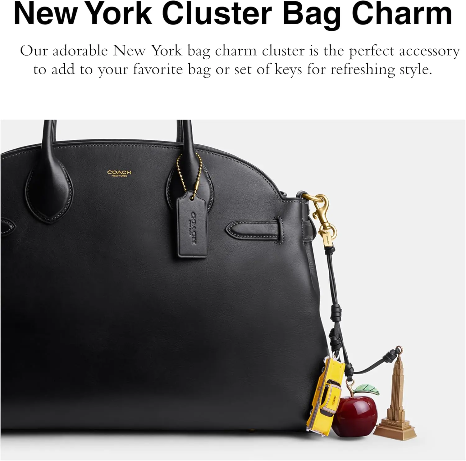 Coach Womens Small New York Cluster Bag Charm Keychain 4
