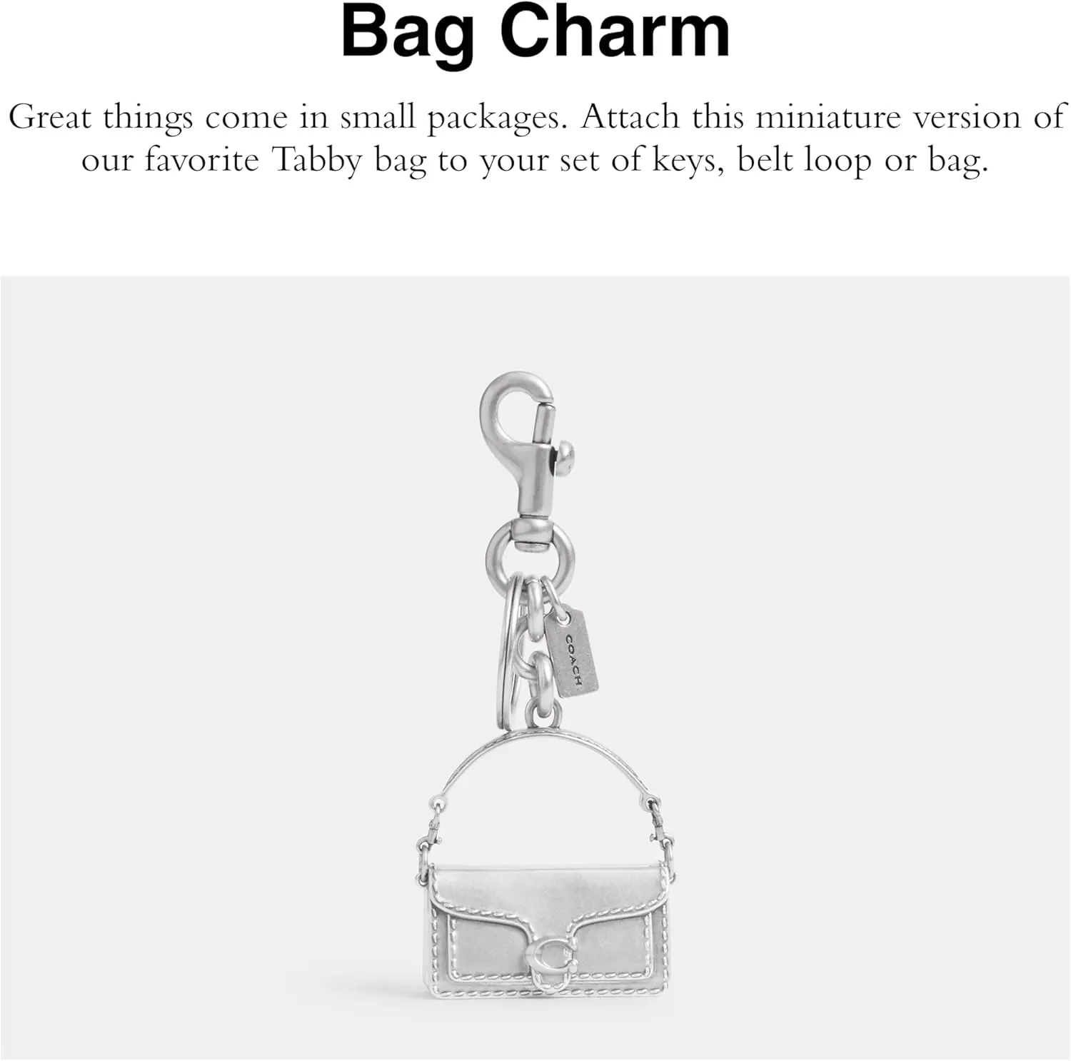 Tabby Bag Charm 2