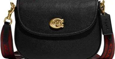 Coach Willow Saddle Bag