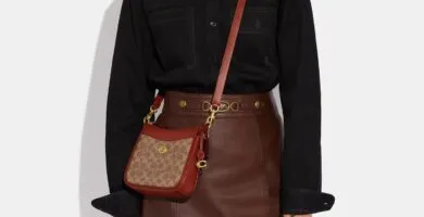 Coach Coated Canvas Signature Chaise Crossbody 19 Tan Rust 4
