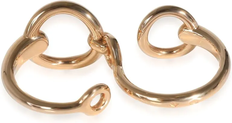 Herm&egrave;s Pre-Loved Filet d&rsquo;Or Review