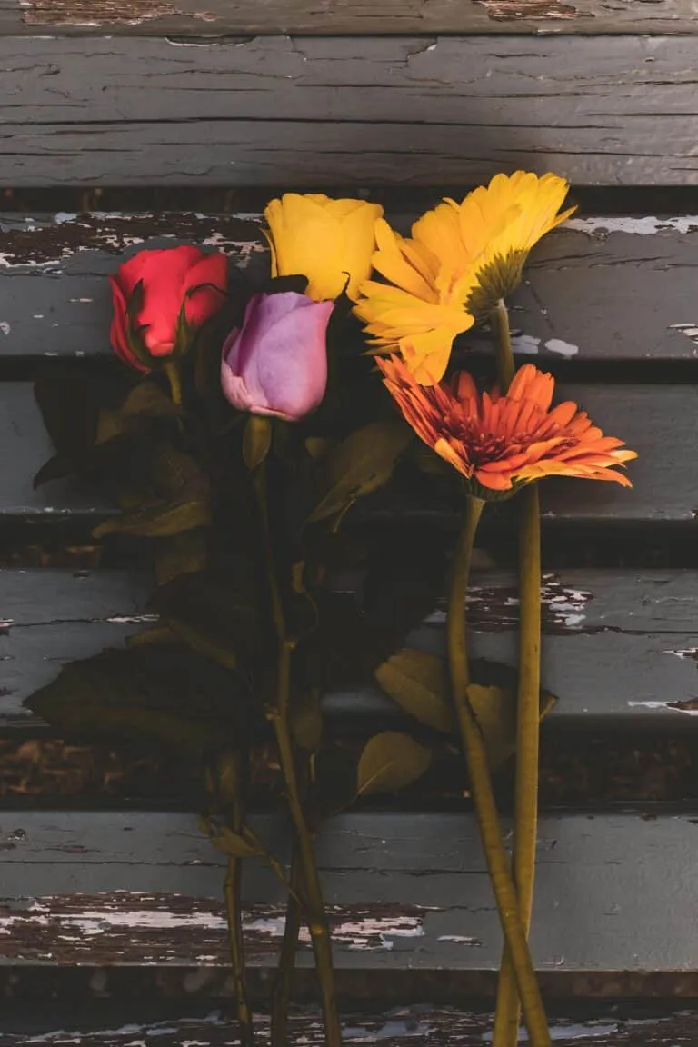 Review: I Wear Pink For My Coach Tote