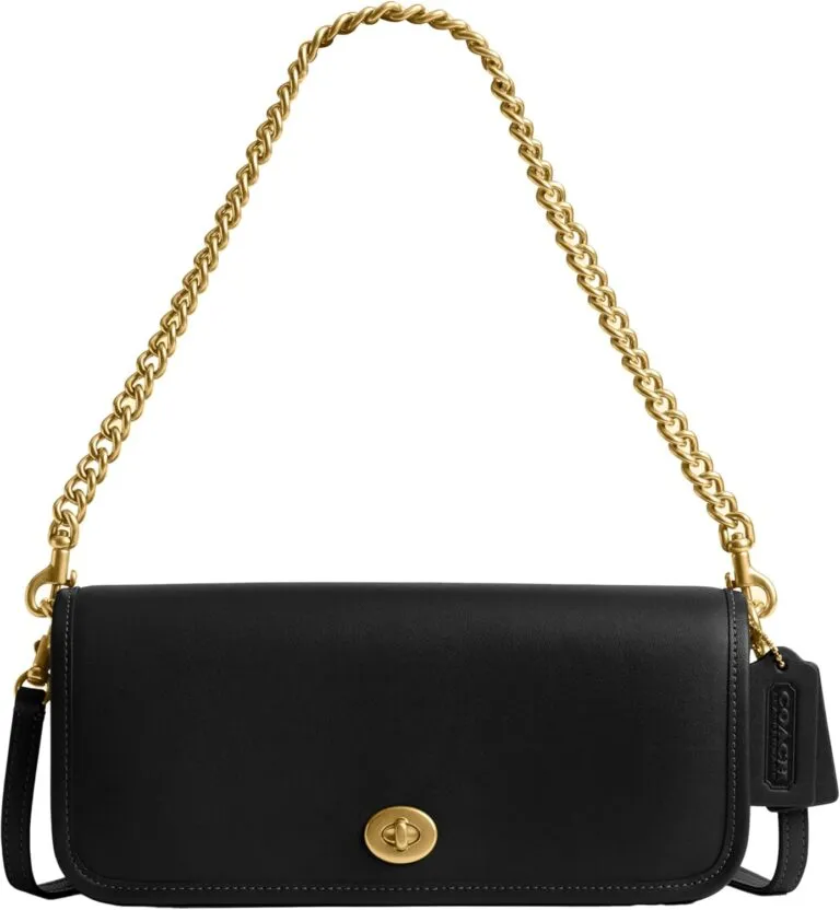 Coach Dinky Bag Review