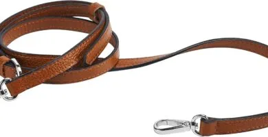 Full Grain Purse Strap Genuine Leather Replacement For Cross Body Bag Handbags 2