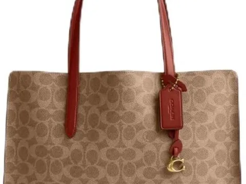 Coach Carter Carryall In Signature Canvas Brasstanrust