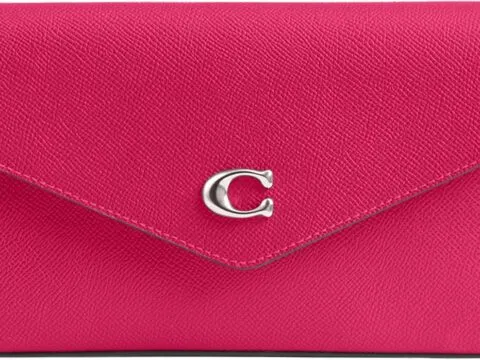 Coach Wyn Crossbody