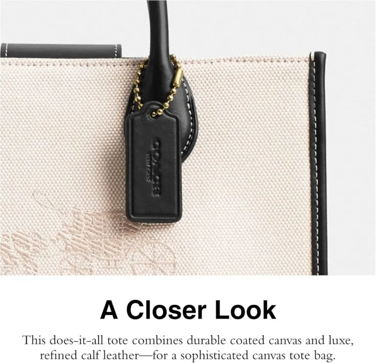 Coach Ace Tote 26, Salt Stone/Black Review