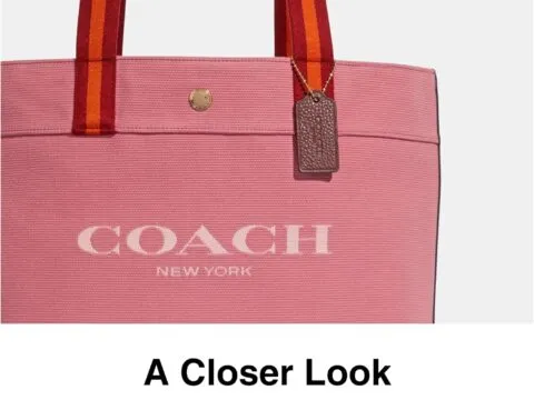 Coach Canvas Tote 6