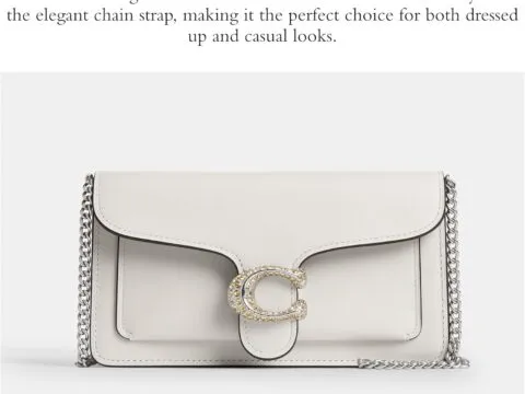 Coach Tabby Chain Clutch Chalk Review 1
