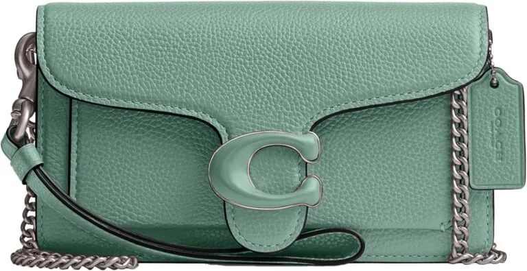 Review of the Coach Tabby Wristlet